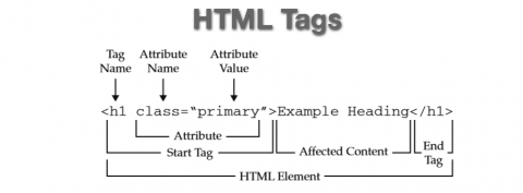 HTML Tag