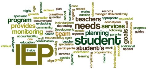 Individual Education Plan (IEP)